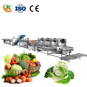 Full Automatic Fruit & Vegetable Processing Line Sorting Cutting Washing Drying Machine
