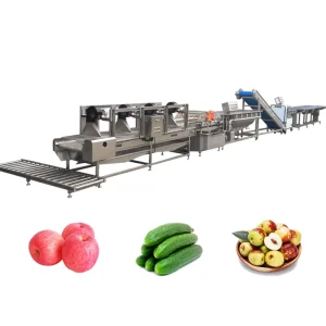 Full Automatic Vegetable Fruit Sorting Cutting Washing Drying Processing Line Fruit Vegetable Washer Processing Line