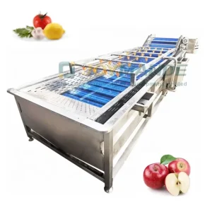 Fully Automatic Industrial Apple Washer and Dryer Apple Washing and Drying Machine