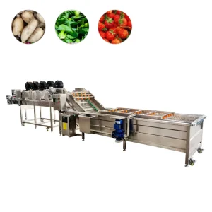 Fully Automatic Leafy Vegetable Bubble Washer with Immersion Tank and Air Drying Conveyor