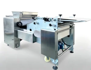 Functional Automatic Electric Noodle Maker Commercial Pasta Machine to Make Noodles Spaghetti Vegetable Noodle Instant Noodle