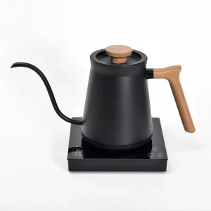 Gooseneck Portable RV Water Kettle Electric Temperature Control Stainless Steel Inner 1000W 0.6L Auto Shutoff for Coffee & Tea