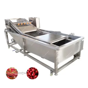 Grape Orange Strawberry Apple Cleaning Machine Fruit Washing Machine Vegetable Bubble Washer