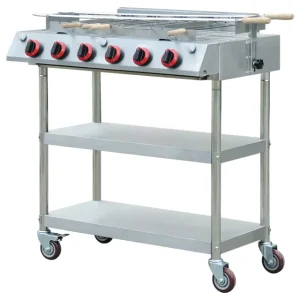 Greek Cypriot Style Motorised Rotisserie Barbeque Grill Indoor EB W03 with Steel and Metal Material