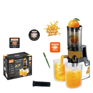 HCWR European Standard Slow Juicer 250W Fully Automatic Electric Household Juice Maker Fruit Vegetable Residue Separator
