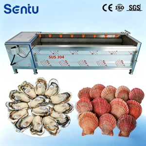 Heavy Duty Brush Roller Washing Machine Multi Purpose Root Crop Cleaner for Food Processing and Farm Production Line