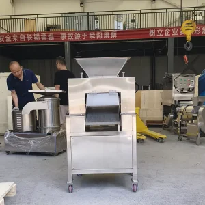 Heavy Duty Double Roller Orange Juicer Machine Commercial Industrial Fruit Vegetable Juicer Extractor Machine