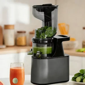 Heavy Duty Motor Electric Cold Press Juicer Heavy Duty Slow Juicer Commercial Cold Press Juicer