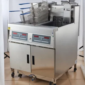 Heavy Quality Electric Standing Commercial Automatic Lift Deep Fryer with Oil Filter