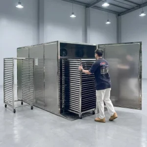 High Capacity Apple and Strawberry Drying Machine Commercial Heat Pump Fruit Dehydrator