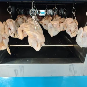High Capacity Commercial Continuous Rotisserie Machine for Poultry Processing Large Continuous Chicken Roaster