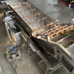 High Efficiency Bubble Washer Machine Vegetable Processing Plant Fruit Vegetable Cleaning Powerful Bubble Flow