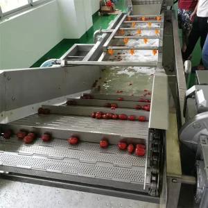 High Efficiency Fruit Vegetable Washer Mango Strawberry Potato Bubble Cleaning Production Line Core Motor Food Production