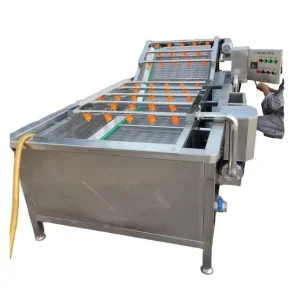 High Efficiency Manual Fruit and Vegetable Washing Machine New Condition Cleaning Equipment
