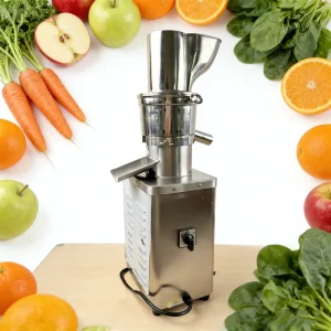 High Efficiency Multifunctional Stainless Steel Pineapple Ginger Vegetables Fruit Juicer Machine for Commercial Juice Shops