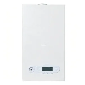 High Efficiency Wall Mounted Gas Boiler Heating and Shower Dual Purpose Water Heater