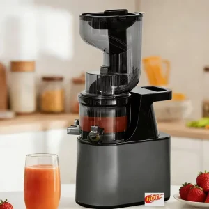 High Juice Yield Commercial Grade Heavy Duty Slow Juicer Masticating Juicer Fruit & Vegetable Juicer Cafe & Restaurant
