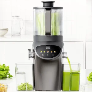 High Performance Factory Direct 6.3in Large Feed Chute Cold Press Juicer Slow Masticating OEM ODM Household Commercial Use