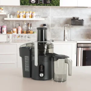 High Power Commercial Electric Juicer Machine Variable Speed Easy Clean Design for Hotels Coffee Shops Juice Bars for Household