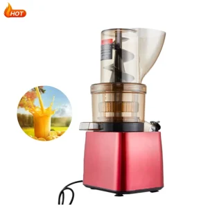 High Power Commercial Household Fruit and Vegetable Juicer Juice Extractor