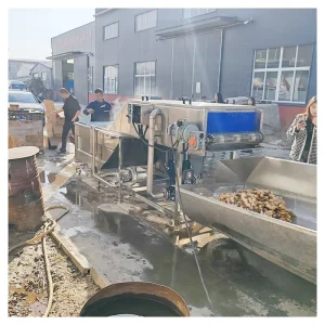 High Pressure Spraying Spray Washing Lotus Root Restaurant Yam Spray Washing Potato Washing Plant Chinese Herbal Cleaner