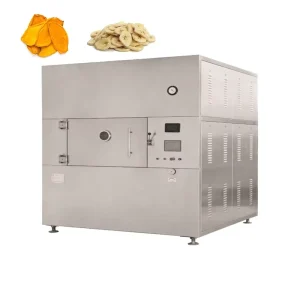 High Productivity Stainless Steel Vacuum Strawberry Fruit Dehydrator Drying Machine with Engine and Motor