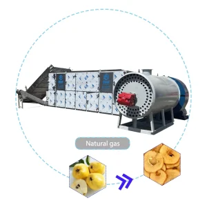 High Quality Quince Dryer Drying Machine Fruit Dehydration Equipment