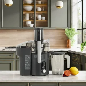 High Speed Commercial Centrifugal Juicer 1.5L High Juice Rate Masticating Juicer for Household Use with Multi Speed Adjustment