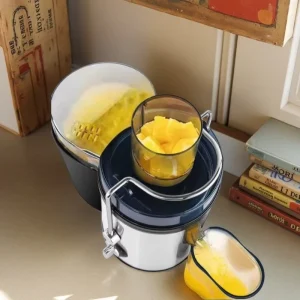 Home Electric Juicer 500W High Power 64mm Large Caliber No Cutting Two Speed Settings Pulp Separation Detachable Easy Clean