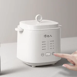 Home Household Smart Electric Egg Cooker Boiler Machine Automatic Without Stew Pot