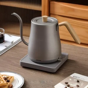 Home Use Electric Kettle with Slim Long Spout Stainless Steel for Tea Making Coffee Brewing and General Hot Water