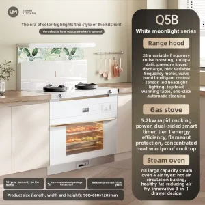 Household Built in All in One Gas Cooker with Smoke Exhauster Grill Oven Function Intelligent Integrated Cooking Appliance RV