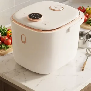 Household Use Electric Plastic Housing 650W 5L Rice Cooker Multi-Use Pressure Cooker