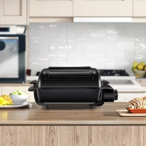 Indoor Desktop Electric Roaster Oven Griddle with Thermostat Height Design Fish Roaster