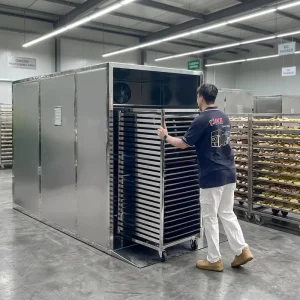 Industria Ginger and Cassava Drying Machine Energy Efficient Vegetable Dehydrator Machine