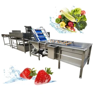 Industrial Air Bubble Cleaning Machine Commercial Ozone Vegetable Washer for Leafy Root Vegetables