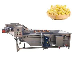 Industrial Automatic Fruit Washer with High Pressure Spray and Bubble Tank for Apple Orange