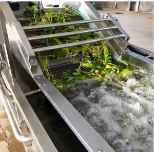 Industrial Automatic Motor Engine Stainless Steel 304 High Capacity Fruit Vegetable Lettuce Shrimp Herb Bubble Cleaning Washing