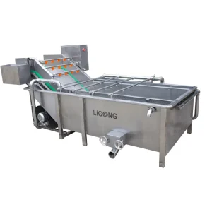 Industrial Bubble Washing Machine Vegetable and Fruit Washing Machines for Cleaning Fruit and Vegetable Washer