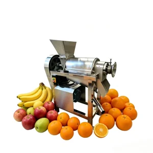 Industrial Cold Press Fruit Juicer with Juice Extractor Motor and Bearing 304 Stainless Steel