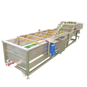 Industrial Conveyor Belt Papaya Clean Bubble Washer Leaf Vegetable and Fruit Wash Machine