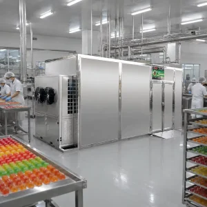 Industrial Food Dehydrator Machine for Gummy Heat Pump Uniform Dehydration Energy Saving Design