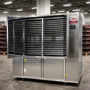 Industrial Fruit and Vegetable Dehydrator Cabinet Type Dryer