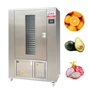 Industrial Professional Fruit Food Dehydrator Machine for Strawberry Banana