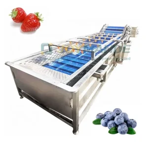 Industrial Strawberry Washing Machine Strawberry Processing Machine Strawberry Washer