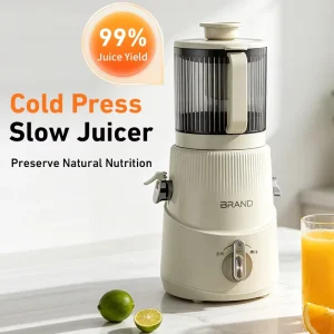 Industrial Style Slow Juicer Custom Logo Juicer High Performance Extra Large Hopper High Yield Commercial Cold Press Appliance