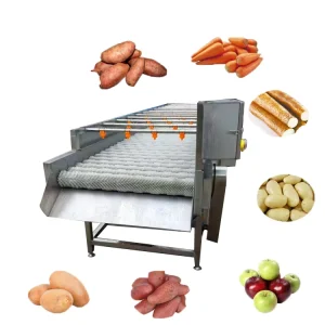 Industrial Vegetable Beet Potato Chips Washing Machine High Capacity Tomato Potato Brush Citrus Meat Washer Machine