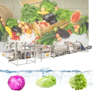 Industrial Vegetable Washing Bubble Washing Machine Leafy Vegetables Washing Machine