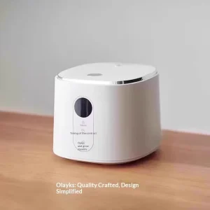 Japanese Korean Multifunctional 3 Liter Low Sugar Small Rice Cooker Household for 3 5 People