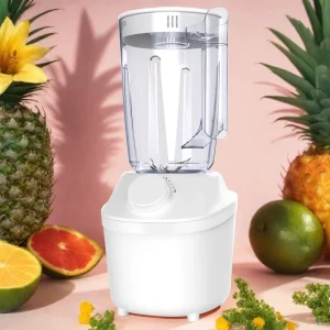 Kitchen Appliance Food Mixer 2 in 1 Fruits Blender Combo with Main Unit and Dry Jar